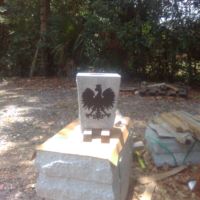 Albanian Eagle