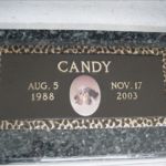 bronze pet memorial with picture