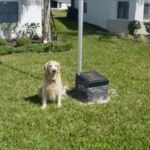 flag memorial