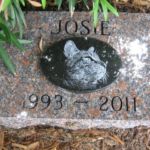 laser engraved black tile insert