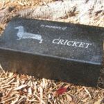 polished brick doorstop